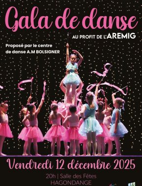 Gala de danse du centre de danse A.M BOLSIGNER